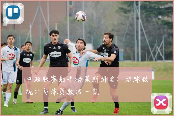 中超联赛射手榜最新排名：进球数统计与球员数据一览