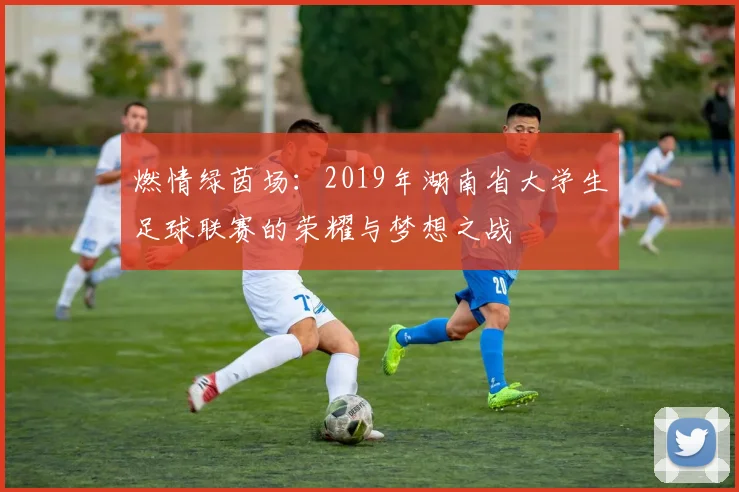 燃情绿茵场:2019年湖南省大学生足球联赛的荣耀与梦想之战