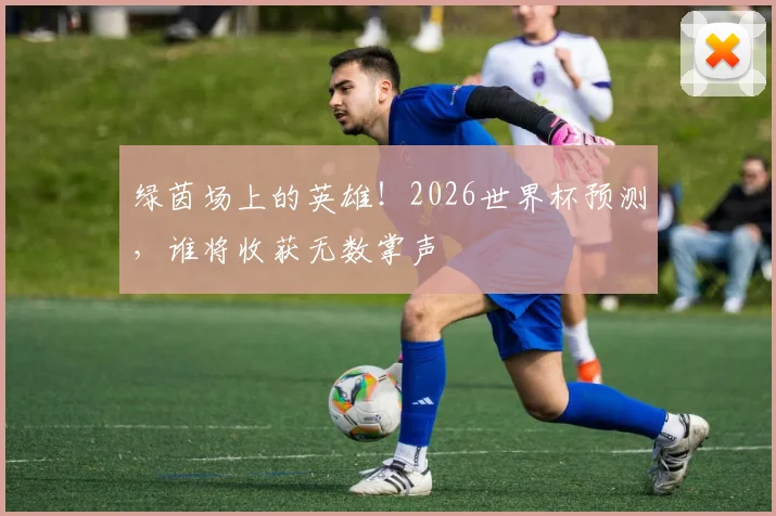 绿茵场上的英雄!2026世界杯预测,谁将收获无数掌声