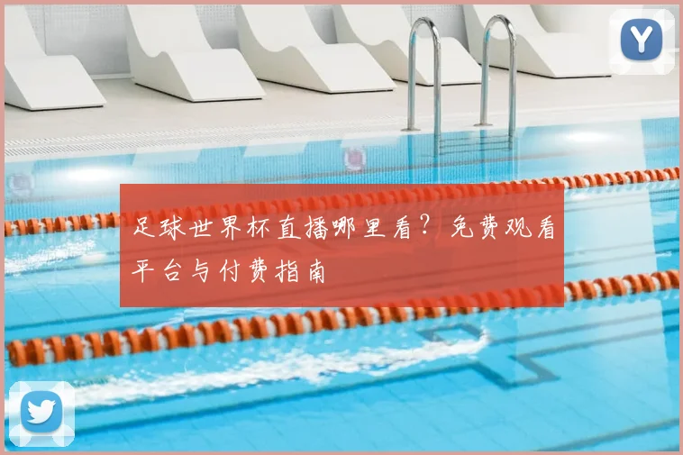 足球世界杯直播哪里看？免费观看平台与付费指南