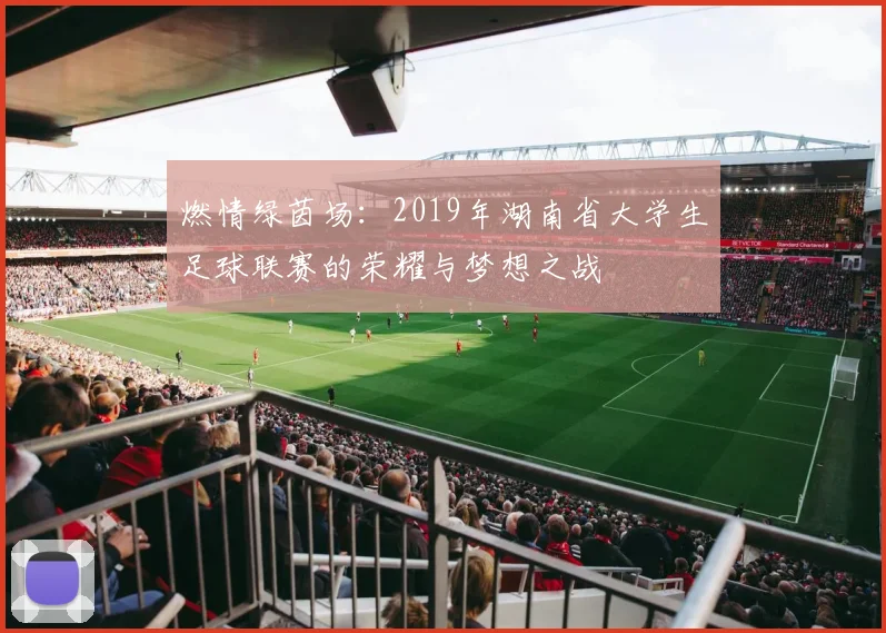 燃情绿茵场：2019年湖南省大学生足球联赛的荣耀与梦想之战
